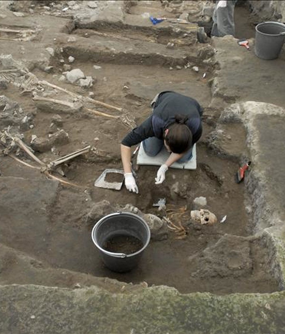 Los restos óseos fueron trasladados hasta las dependencias del Museo Arqueológico de La Serena. En la imagen, un especialista desentierra restos humanos en una zona arqueológica. EFE/Archivo