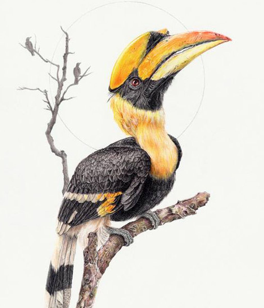 ¿Pintura o fotografía?