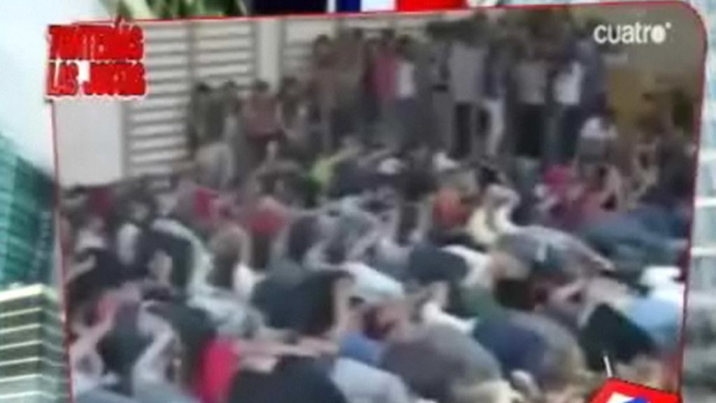 'Gamba' en Torremolinos: 200 personas