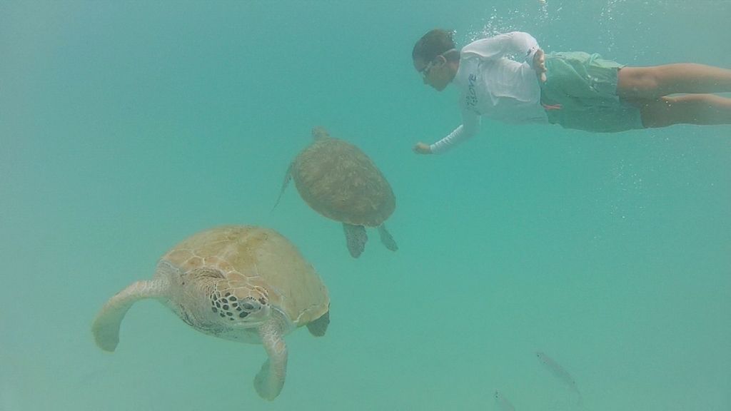 Turismo de alto nivel en Barbados