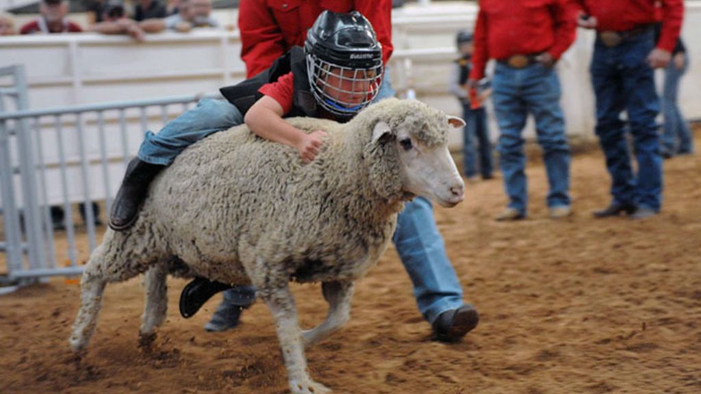 ¡Cuidado! niño a lomo de una oveja