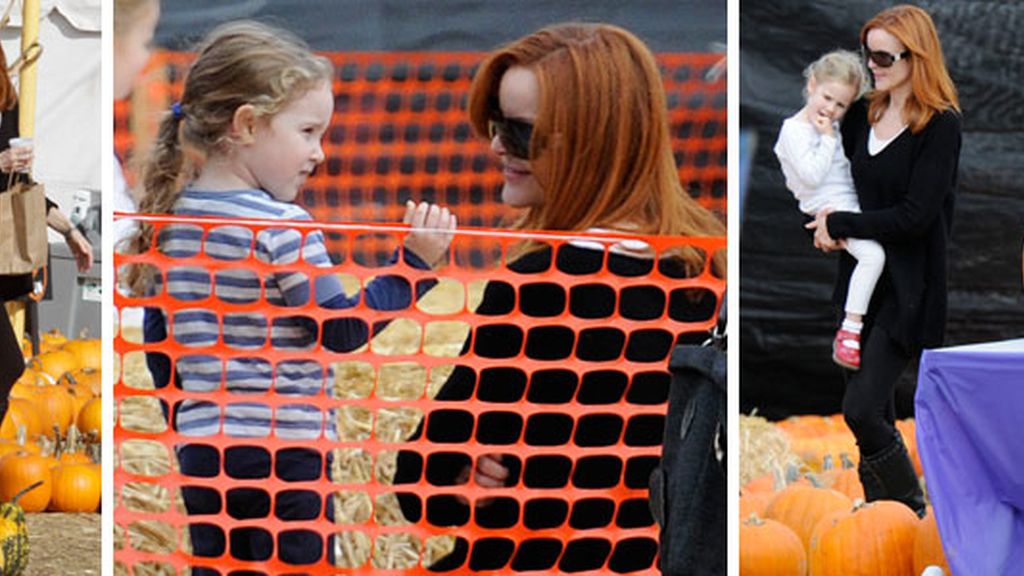 Calabazas para todos los famosos