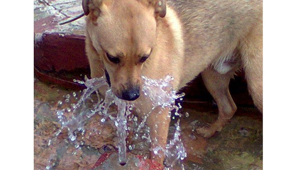 A Mª Ángeles Blanco...