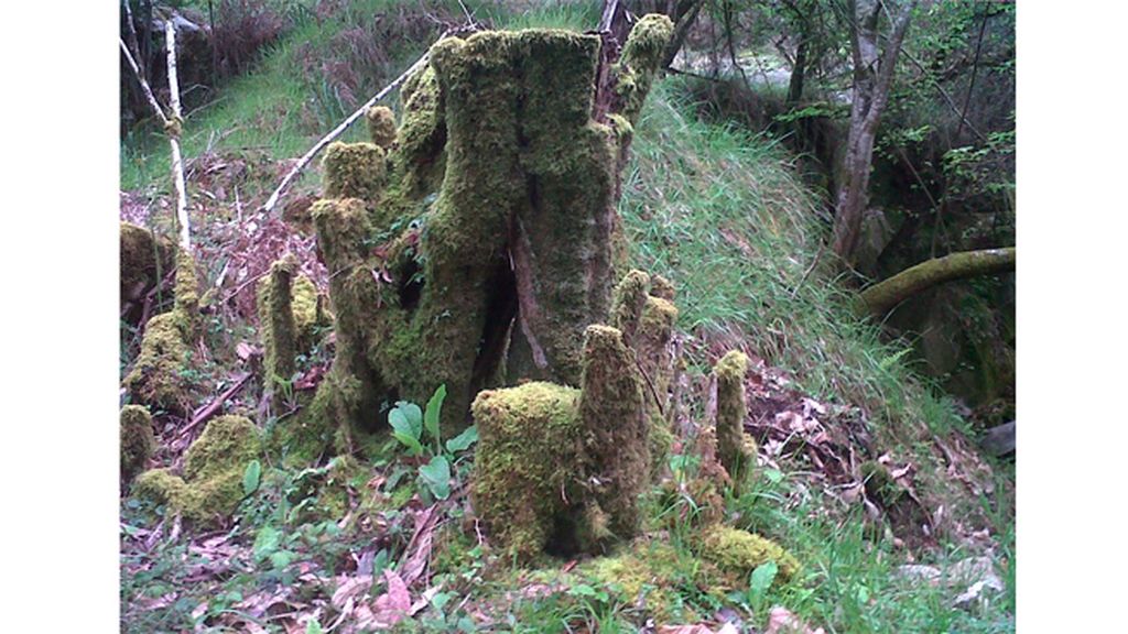 Al 'Taller del Cerebro'...