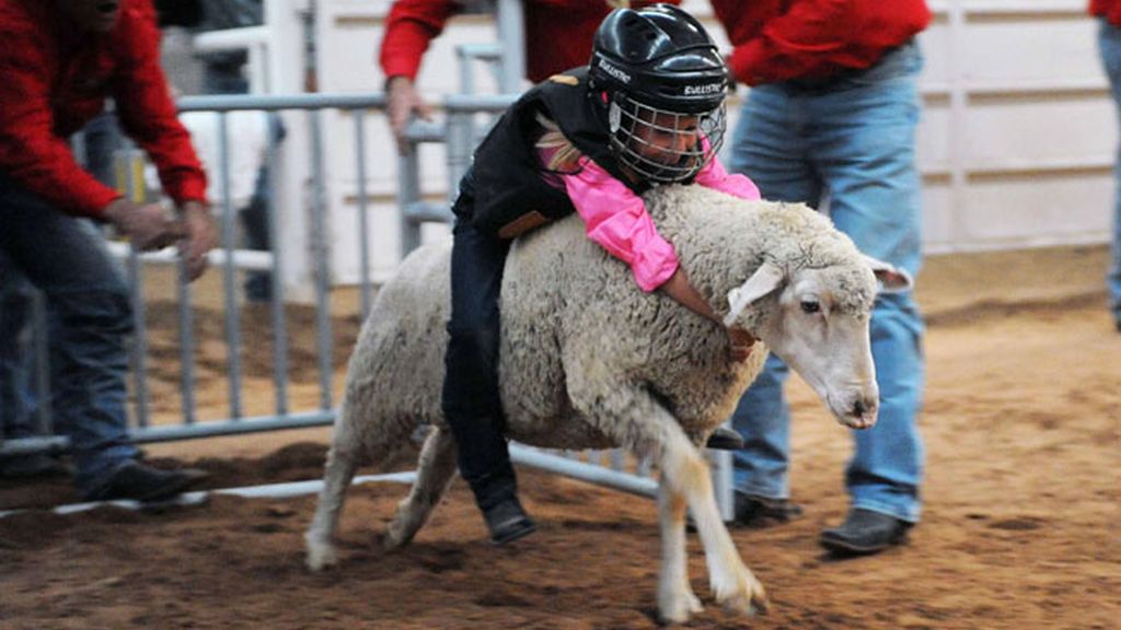 ¡Cuidado! niño a lomo de una oveja