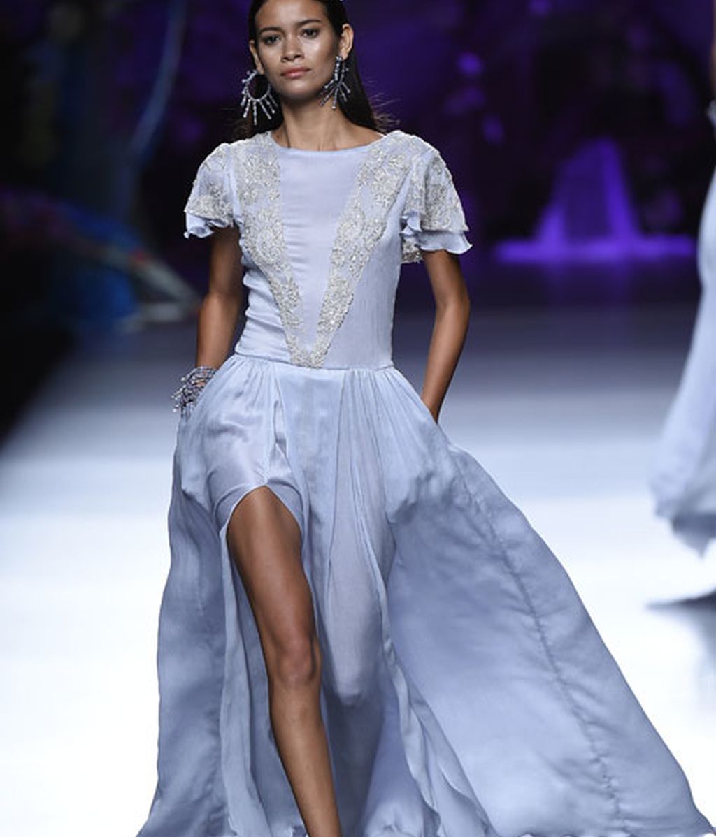 Corales, estrellas y esponjas de mar