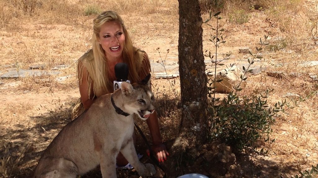 Entre fauna, felinos y... motos