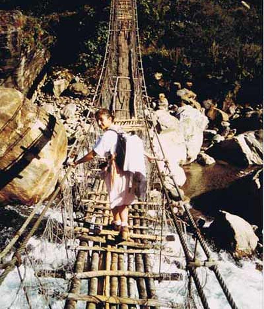 Los supervivientes finalistas