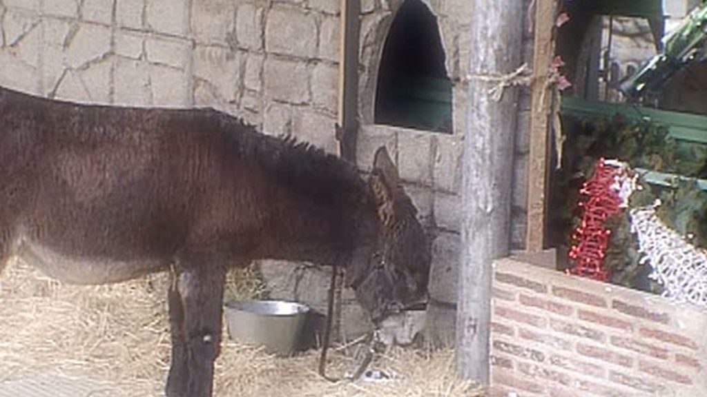 El belén de 'Gran Hermano'