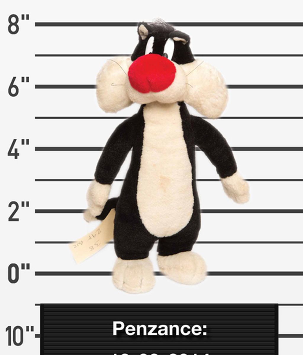 Peluches perdidos buscan a sus dueños