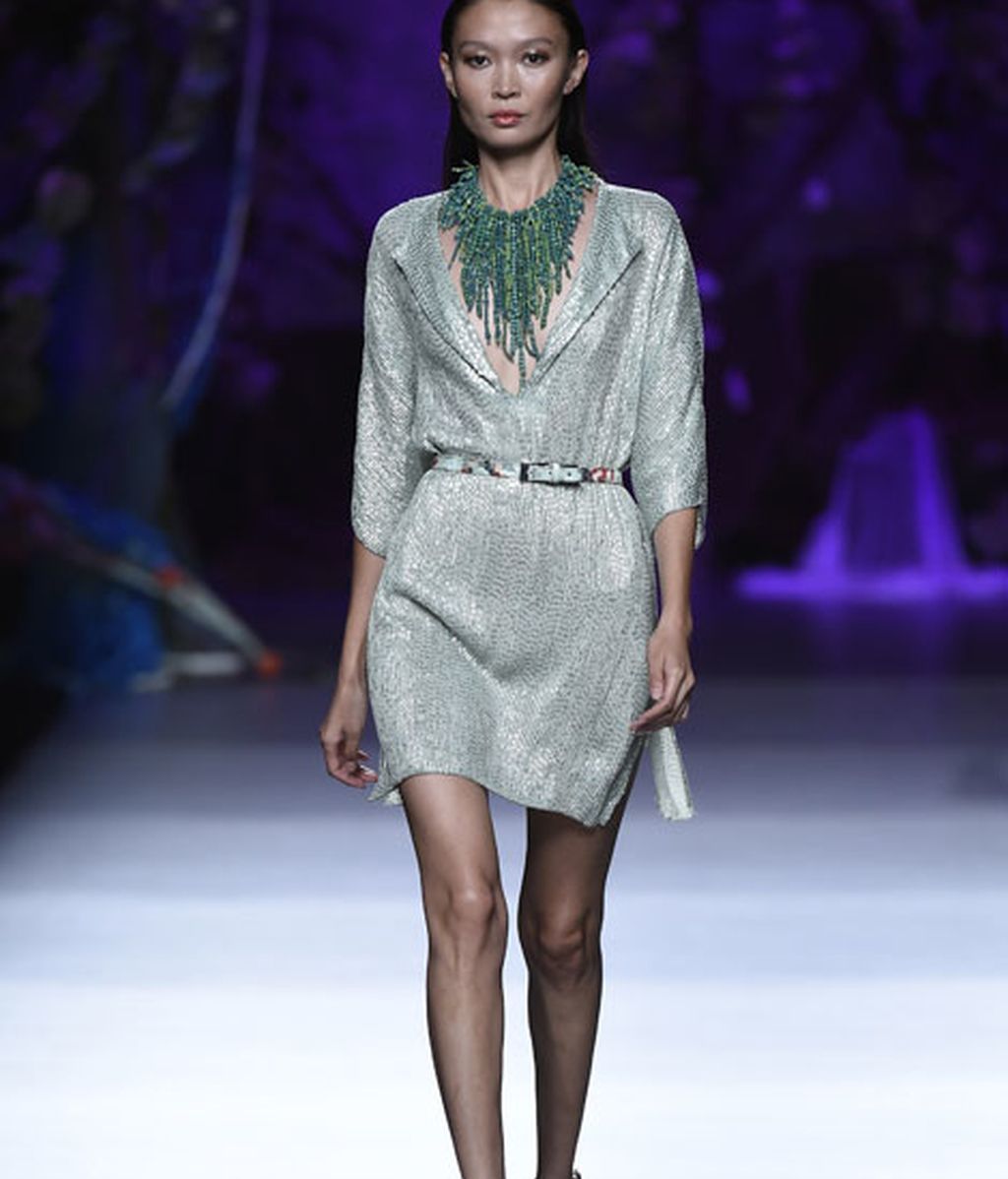 Corales, estrellas y esponjas de mar