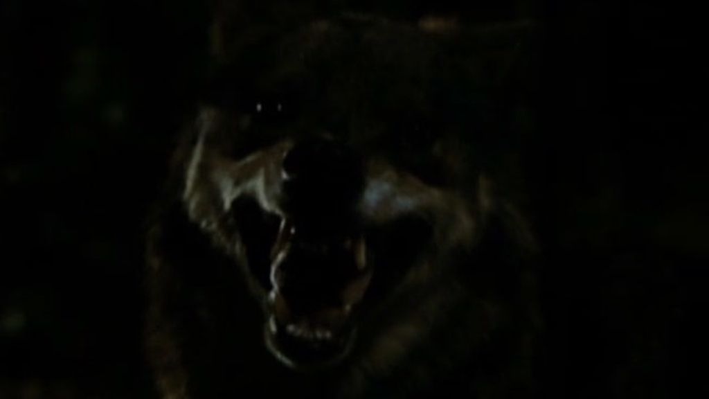 Adelanto del programa en imágenes