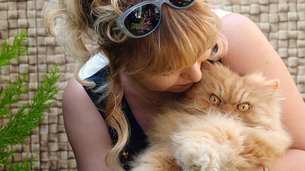 La mirada más aterradora de los gatos