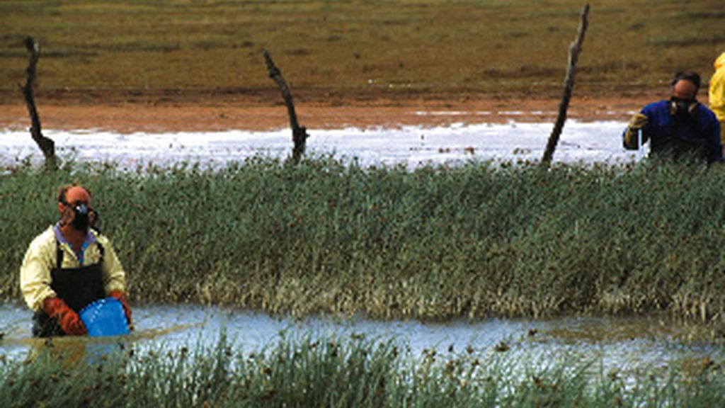 Aznalcóllar: desastre natural