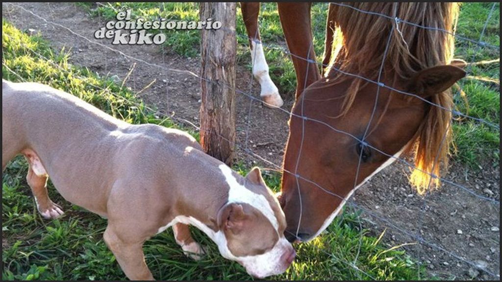 Las fotos más personales de Aris