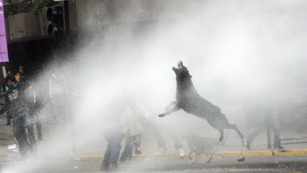 Los carabineros fueron contra todo lo que encontraron a su paso incluído este perro FOTO: REUTERS