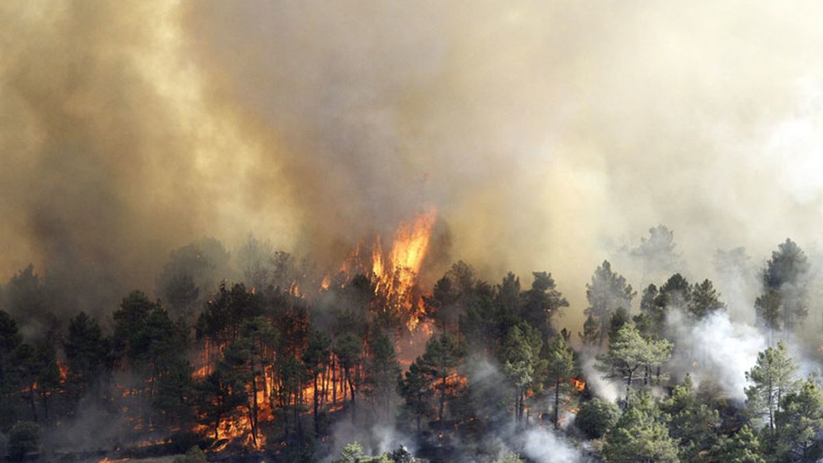 Incendio entre los municipios de Robledo de Chavela y Valdemaqueda (Madrid)