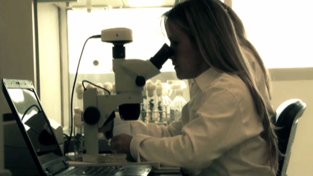 Transgénicos y otros alimentos bajo sospecha