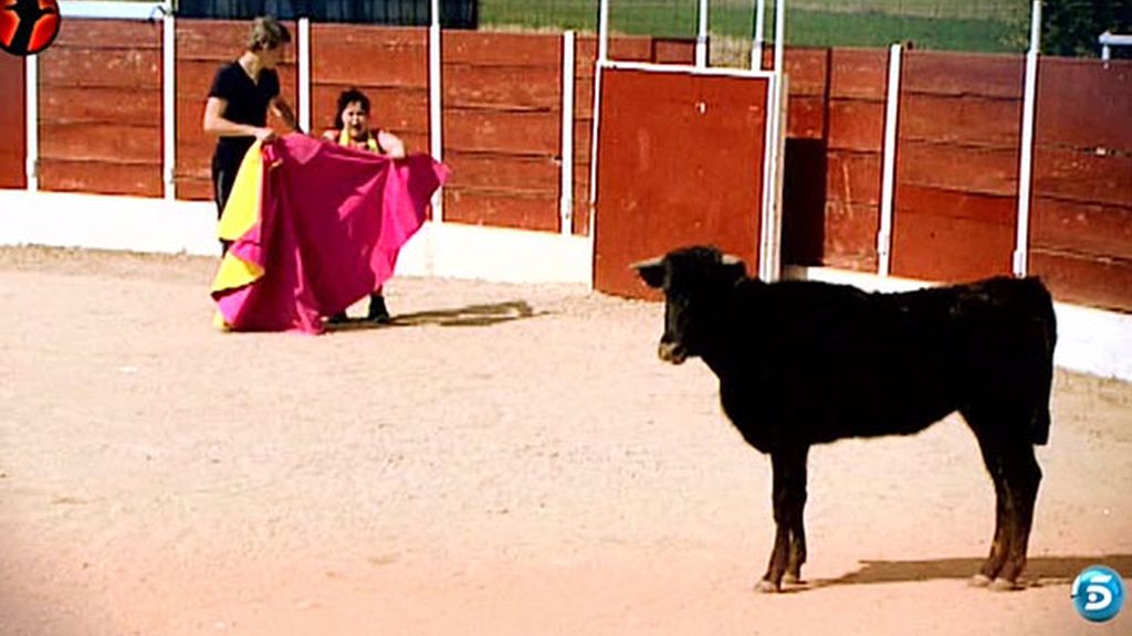 La reportera se enfrenta a sus miedos en el ruedo