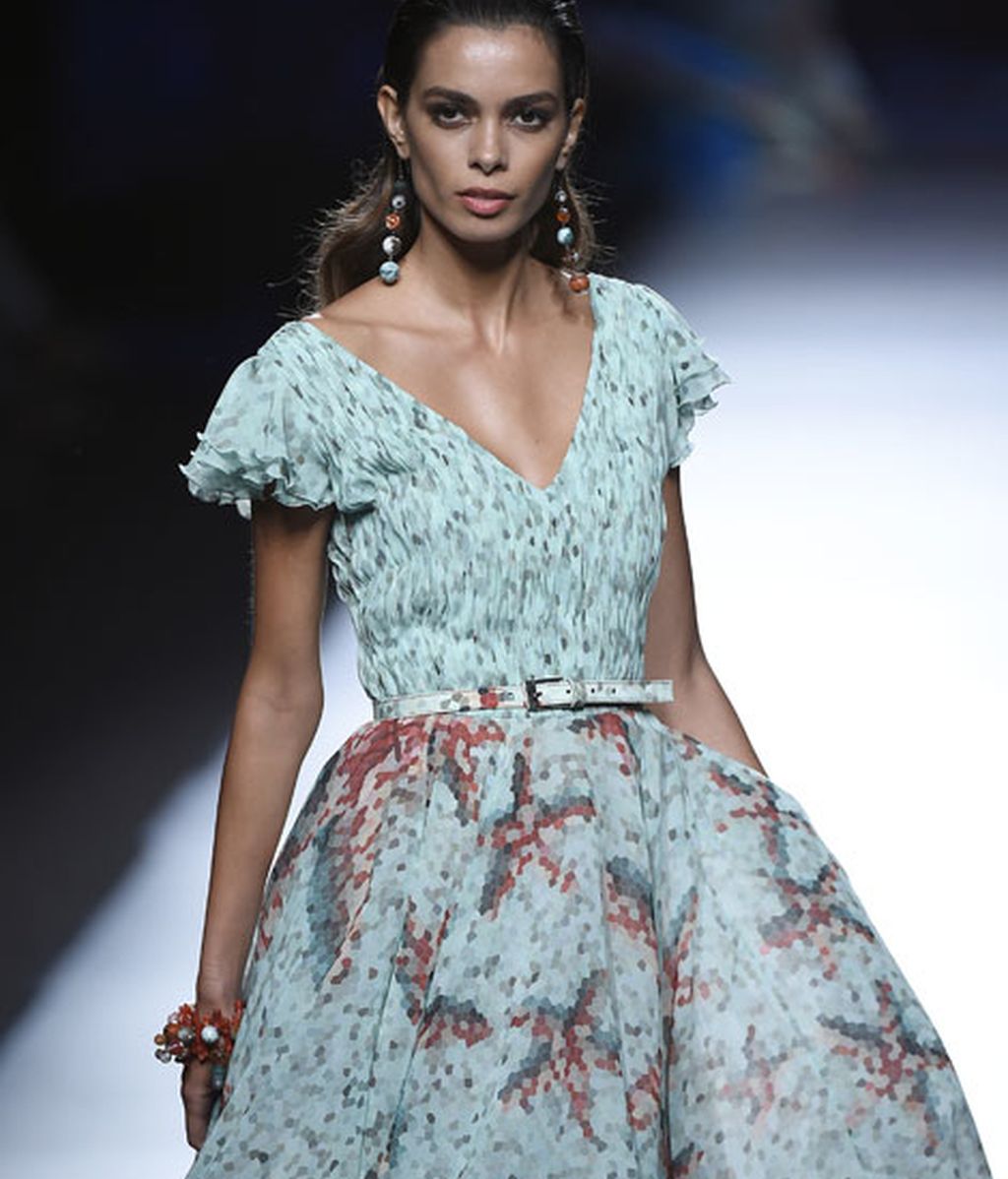 Corales, estrellas y esponjas de mar