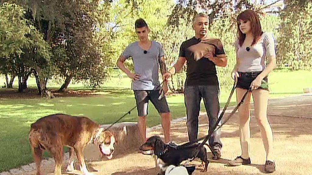 César Millán, con los perros de Angie