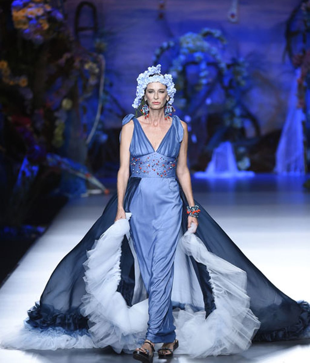 Corales, estrellas y esponjas de mar