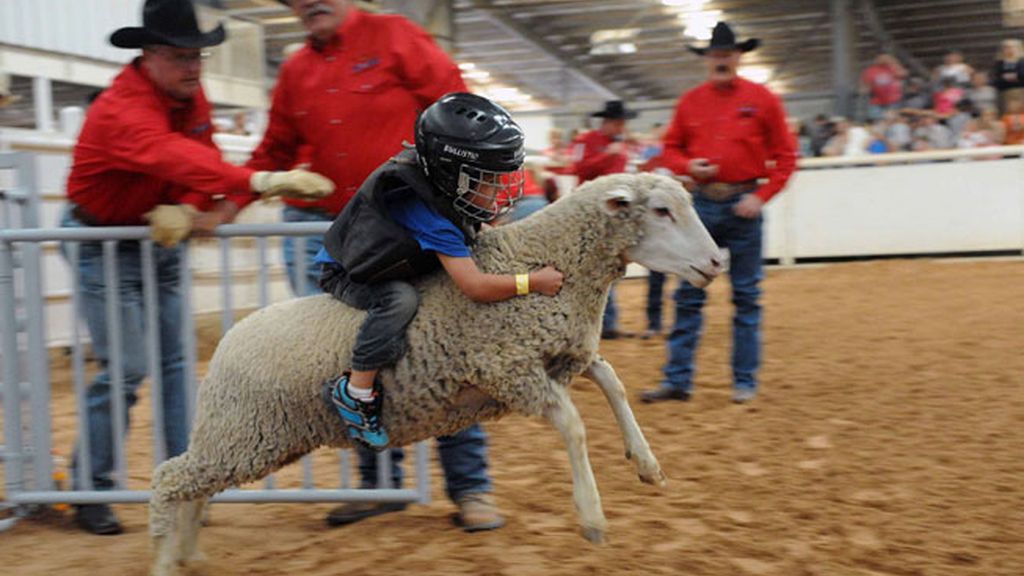 ¡Cuidado! niño a lomo de una oveja