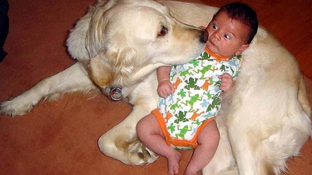 Esto no se le hace a un hijo