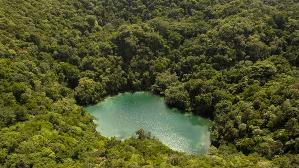 Nadando entre medusas