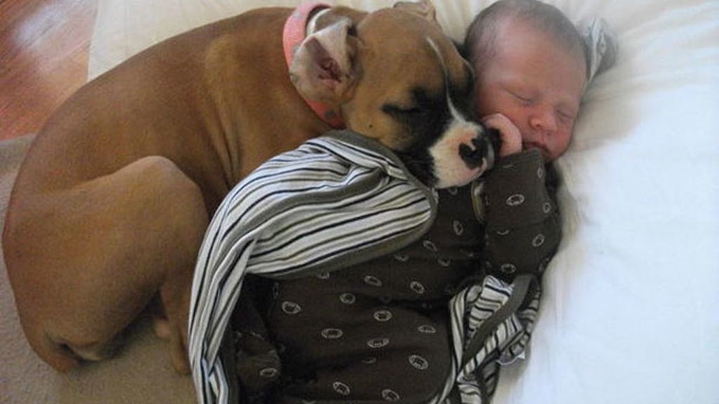 Compañeros para todo