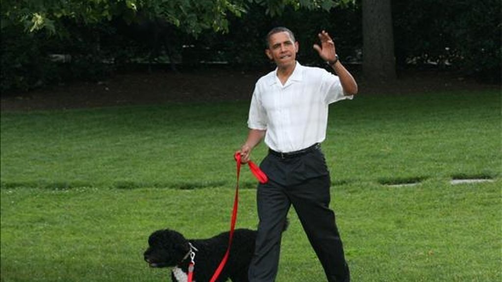 Fotografía del pasado 8 de junio en la que se registró al presidente de Estados Unidos, Barack Obama, al pasear con Bo, el perro de su familia. EFE/Archivo Fotografía del pasado 8 de junio en la que se registró al presidente de Estados Unidos, Barack Obama, al pasear con Bo, el perro de su familia. EFE/Archivo