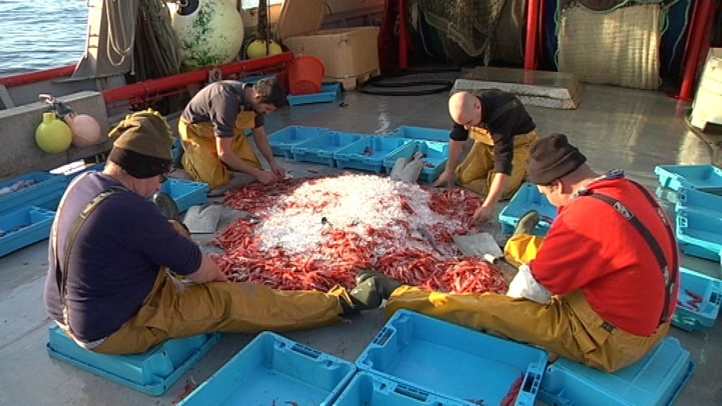 Con la llegada de las navidades 'Callejeros' se va con los 'mariscadores'