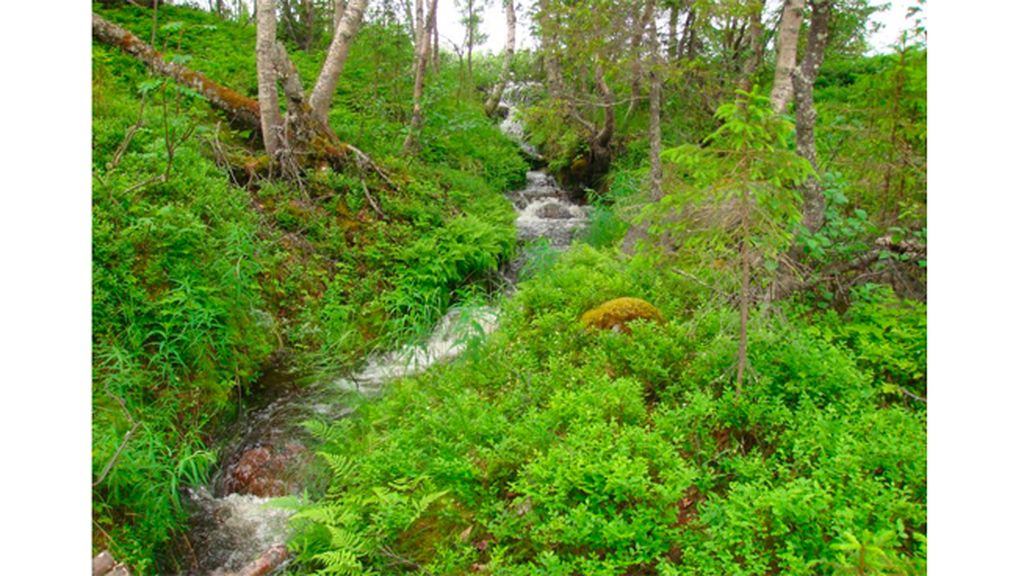 A Tanja Martinsson...