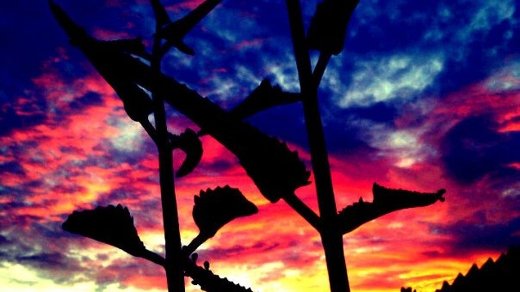 Fotos concurso 'Una imagen, una palabra'