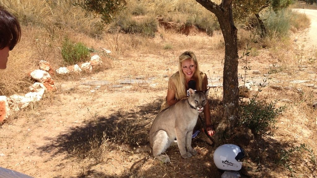 Entre fauna, felinos y... motos