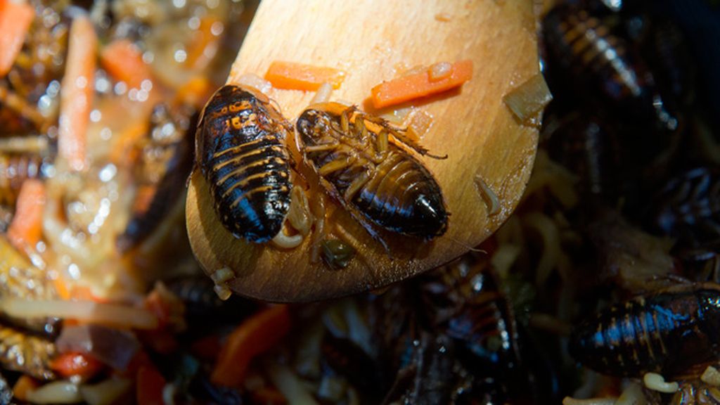 Los más arriesgados pueden degustar numerosos platos