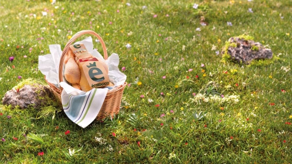 Productos ecológicos