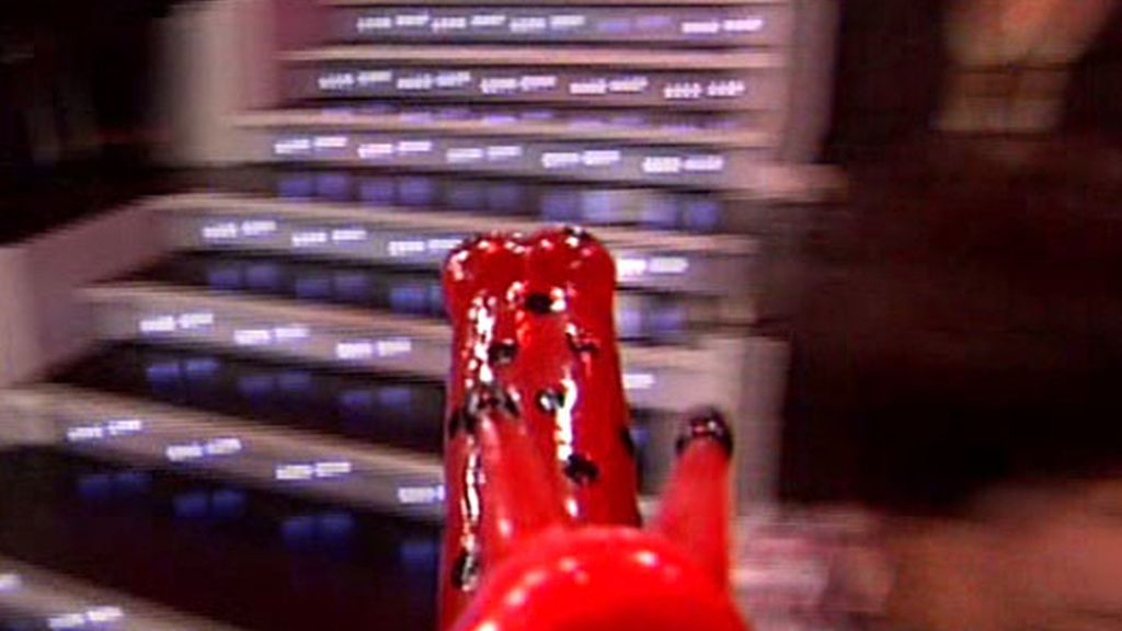 Entre lenguas y vibradores