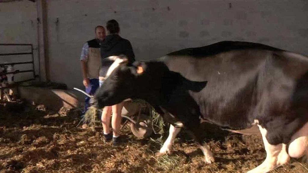 Yésica y Teresa, dos ganjeras en apuros