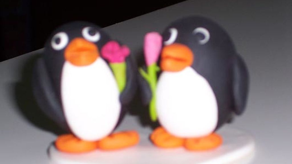 Una boda inolvidable