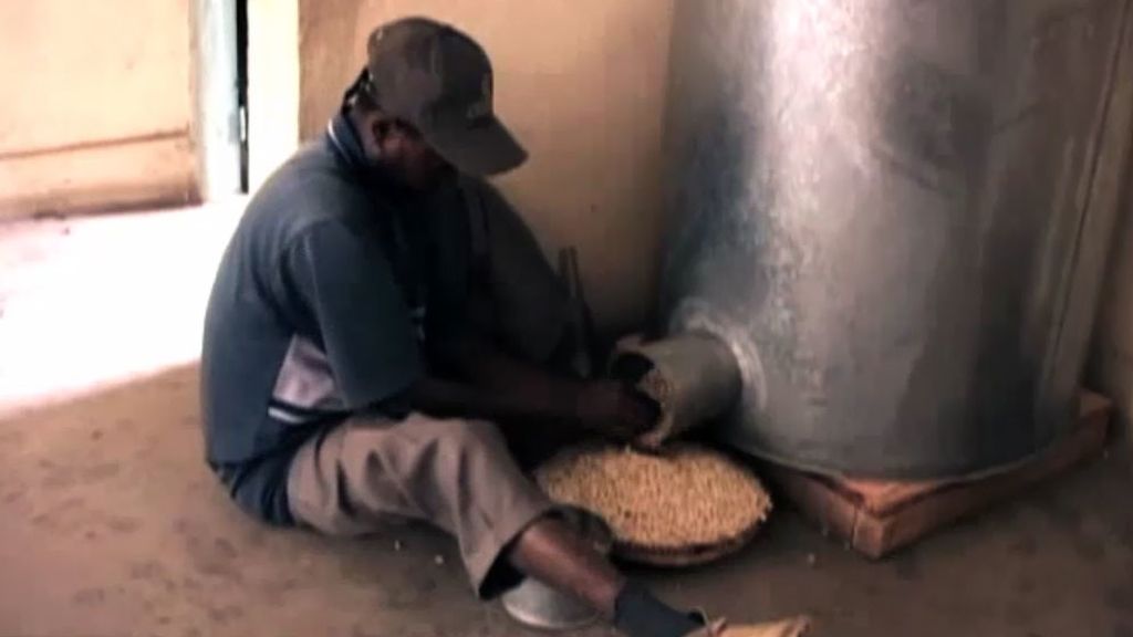 Transgénicos y otros alimentos bajo sospecha