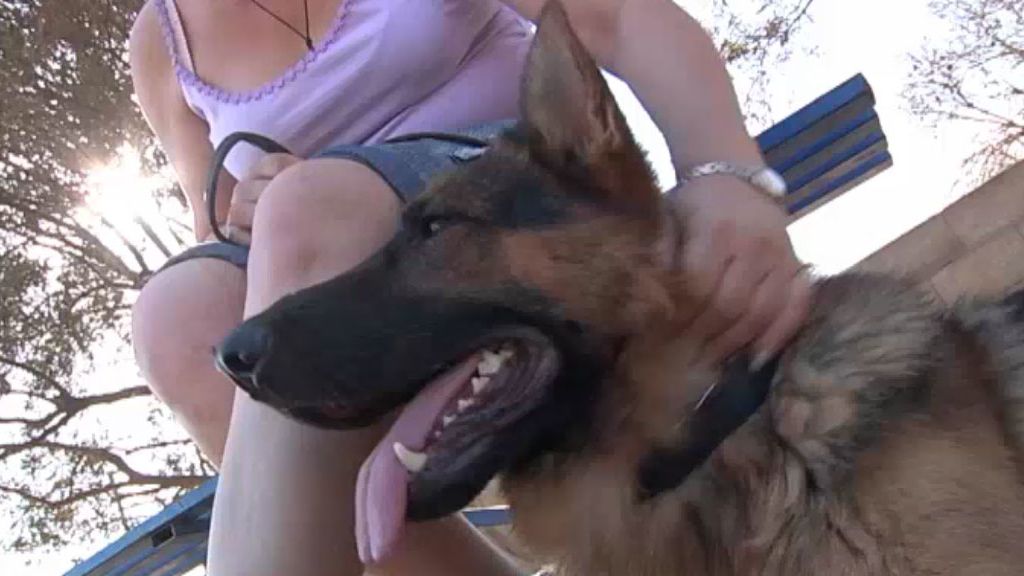 Callejeros nos trae diferentes casos con una 'Orden de alejamiento'