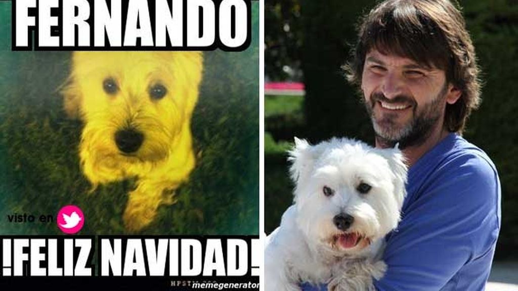 Fernando Tejero y su inseparable westy