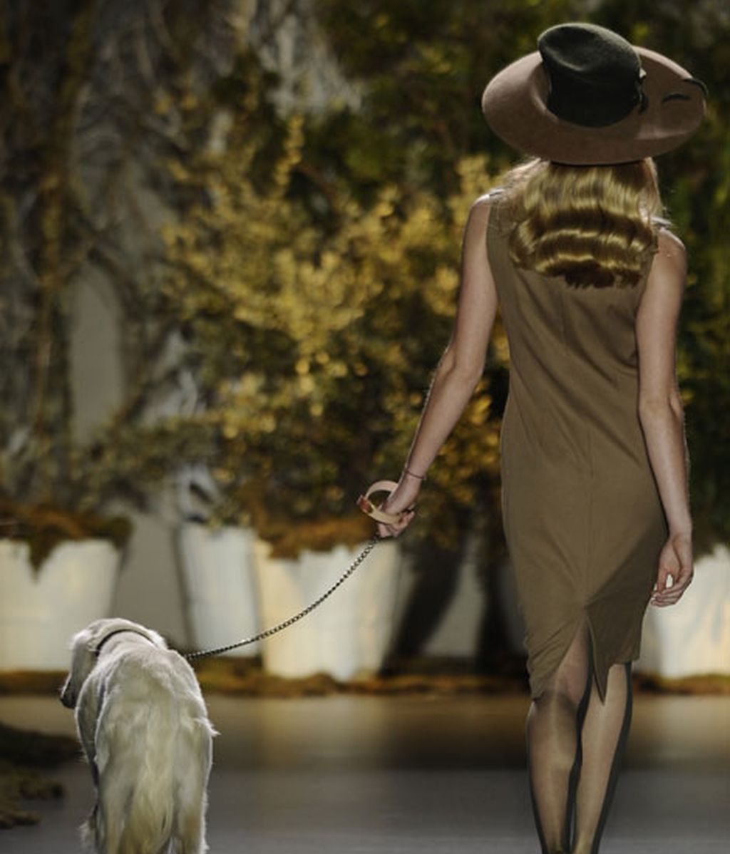 Ion Fiz: elegancia confortable