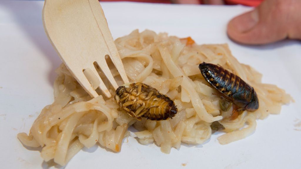 Primer plato: Cucarachas con tallarines