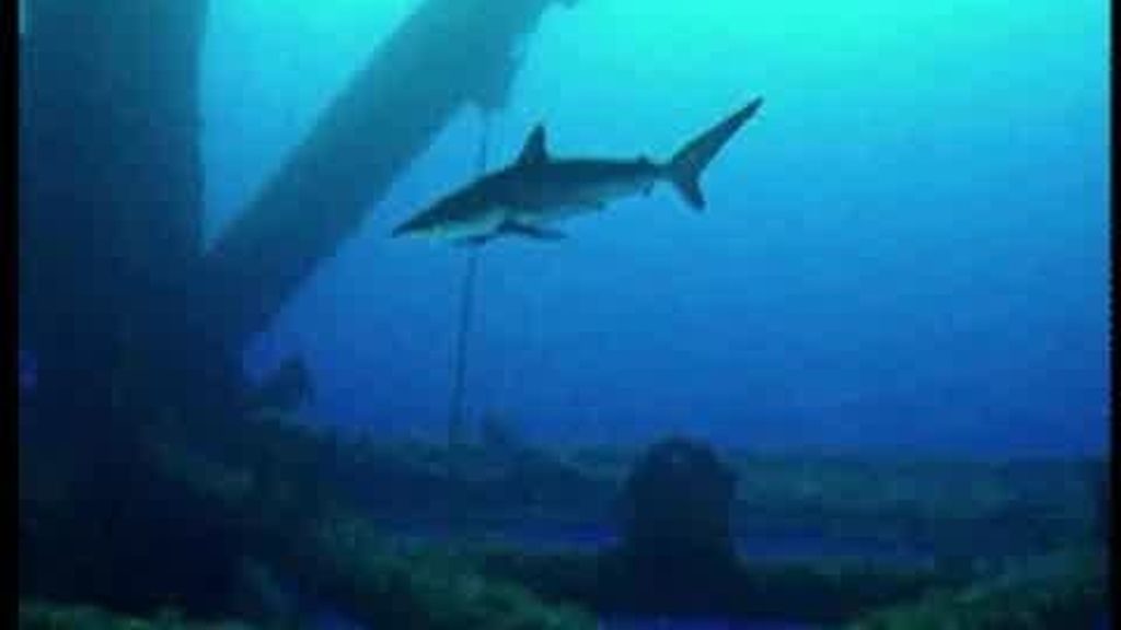 El fondo submarino del Golfo de México