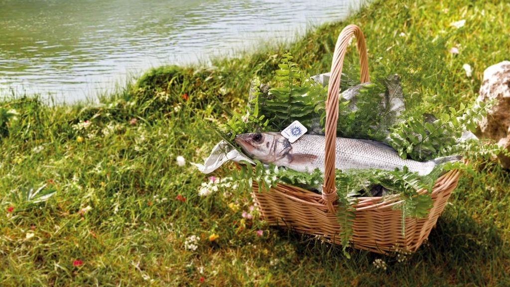 Productos ecológicos