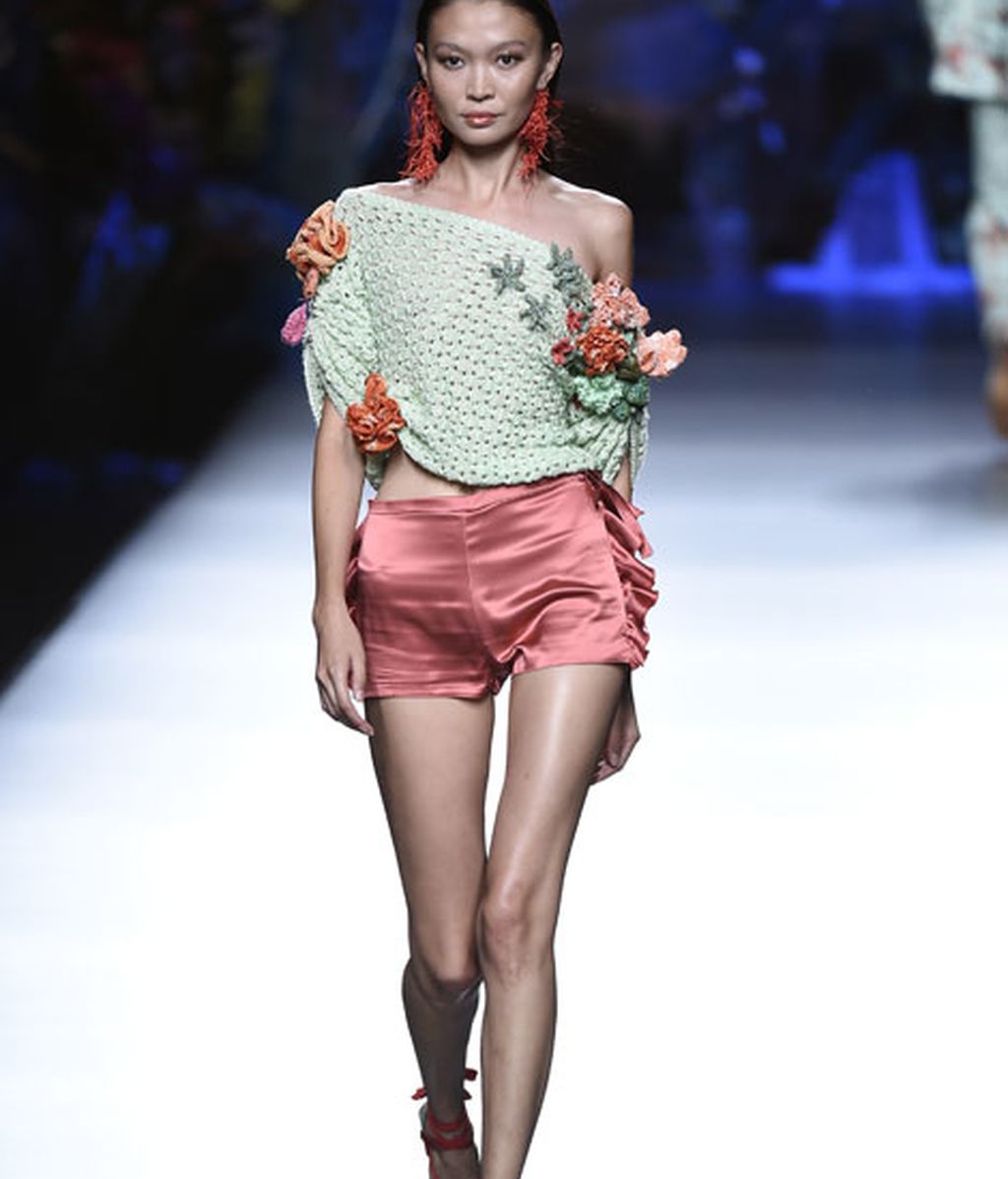 Corales, estrellas y esponjas de mar