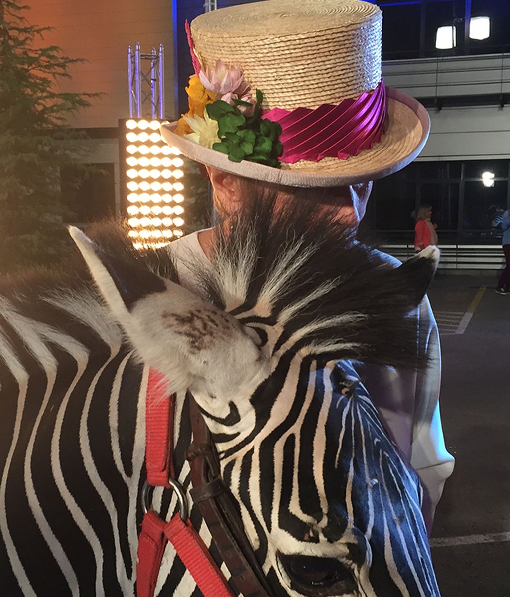 GH16, el making of de la flash movie