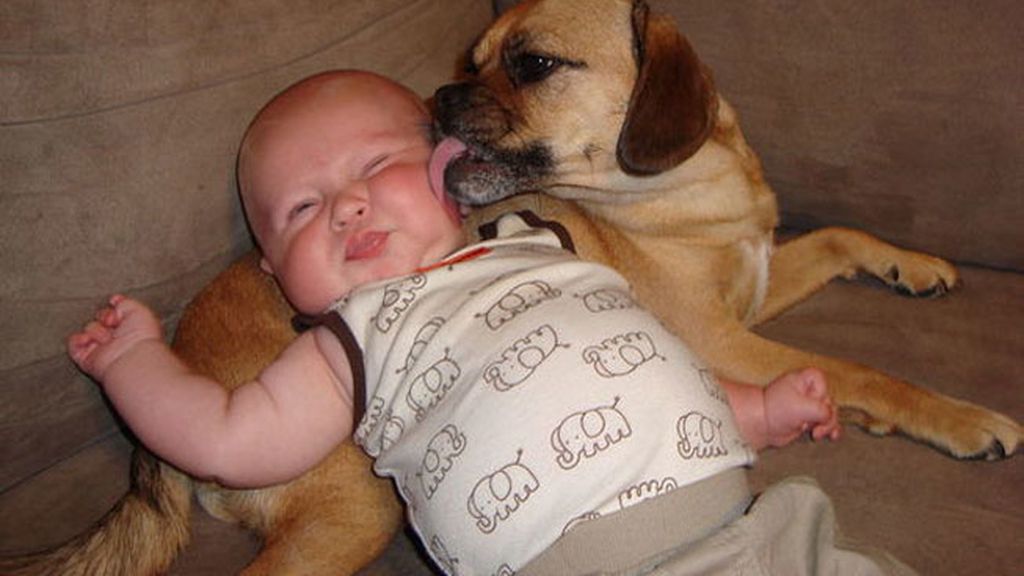 Compañeros para todo